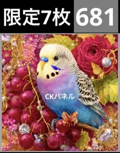 限定7枚　レアパネル生地　6柄セット　インコパネル生地