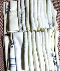 Item thumbnail for item 384ec79f-b874-44e5-bc12-b36161995ea0