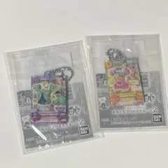 アイカツ プリパラ だれでもアクリルチャーム2 堂島 ニーナ 黒沢 凛