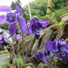 みま様 リクエスト 5点 まとめ商品