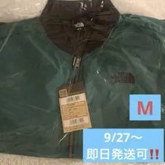 ⚠️値下げ⚠️韓国限定ノースフェイス/ボンバージャケット/ブルゾン/レアアイテム