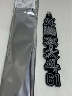 千葉ロッテマリーンズ ラメキーホルダー HOME 山本大斗