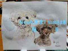Noahさま専用