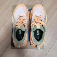 Item thumbnail for item e35615cf-06ba-43f4-afb2-6e8903aa7043