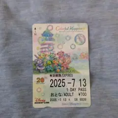 東京ディズニーリゾート 1日パスとスーベニアメダルのセット