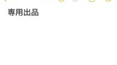 専用出品