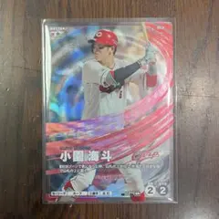プロ野球ファンスターズリーグ　床田寛樹　SSRパラレル　シリアル未使用 SSR 【床田寛樹】ファンスターズリーグ - メルカリ