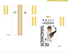 Item thumbnail for item a988f505-812c-4c09-90c9-262682f0f9dc