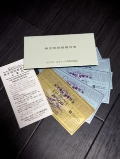 ゼビオ XEBIO 特別割引券 20% OFF & 10% OFF 5枚セット