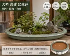 2026年最新】大型盆栽鉢の人気アイテム - メルカリ