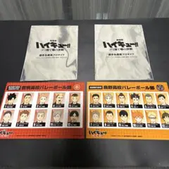 劇場版ハイキュー！！ ゴミ捨て場の決戦 選手名鑑風ブロマイド