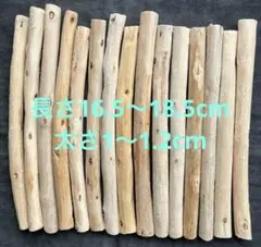 Item thumbnail for item 808bf40f-fa35-41ed-b879-9dd5ba9ed06e