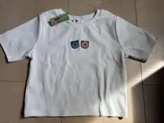 Item thumbnail for item fd527ef8-1155-42cf-ab39-7b5785fdda46