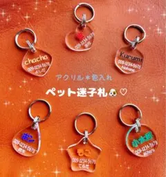 ♡迷子札♡ペット♡カラー♡オーダー♡