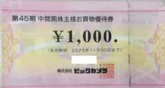 shake様専用　ビックカメラの株主優待券　10000円分