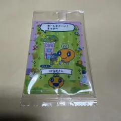 たまごっち フレーム めめっち はなやさん