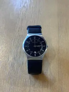 SKAGEN 腕時計 233lslb 電池切れのサムネイル