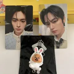 Stray Kids SKZ TOY WORLD リノカードセット