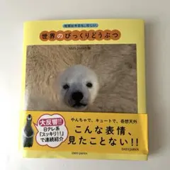 Item thumbnail for item 1bd7b506-0f78-48b3-a635-a4d5229f8c7e