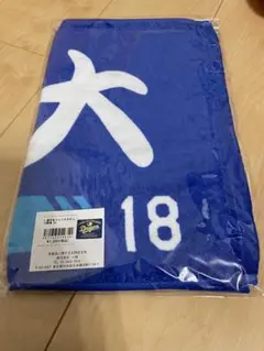 Item thumbnail for item 530d7337-199a-49e3-8067-ee19b44d960b