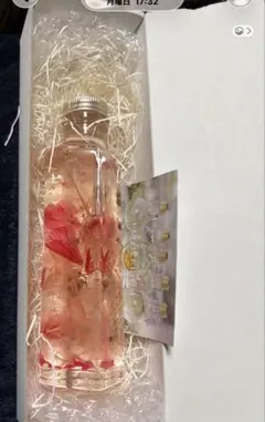 플라워리움 드라이플라워 하바리움
