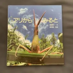 アリからみると