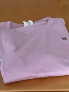 那須ファームヴィレッジ　Tシャツのサムネイル