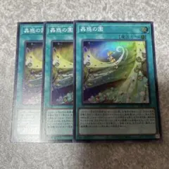 遊戯王　蟲惑の園　スーパー　3枚 2099 ★