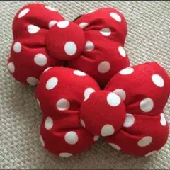 Chika Mizogami様♡専用ページ！