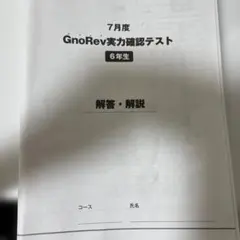 2025年最新】グノレブの人気アイテム - メルカリ