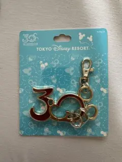 東京ディズニーリゾート【カラビナ】開園 30周年記念　2013年
