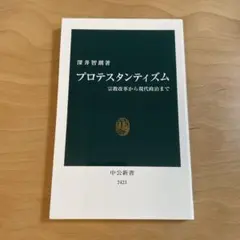 プロテスタンティズム 宗教改革から現代政治まで