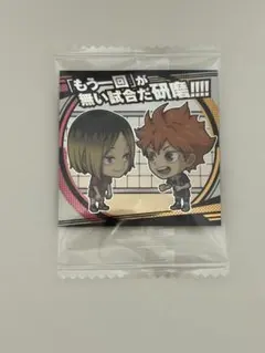 ハイキュー　ゴミ捨て場の決戦　ウエハースシール 孤爪研磨＆日向翔陽