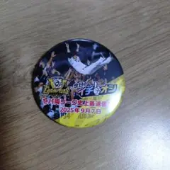 今日のイチオシ　阪神タイガース　セパ両リーグ史上最速優勝　記念バッジ