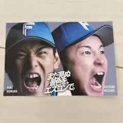 日本ハムファイターズ　ステッカー