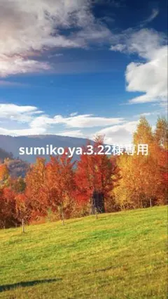 39 レジン　シャカシャカキーホルダー　シェイカー 大人　コーラー　星