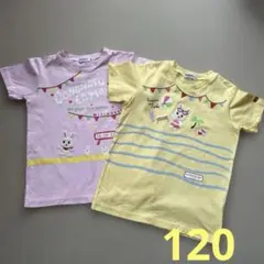 ミキハウス うさこ半袖Tシャツ2枚セット