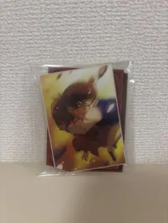 名探偵コナン　コナン&灰原哀　アクリルスタンド