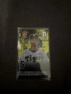 Item thumbnail for item c18e6c43-6059-498f-8fb9-4cb7fea6c0ef