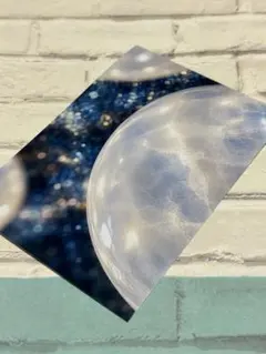 【星降る月の石庭】
