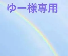 【ゆー様専用】 ハンドメイド 9/15