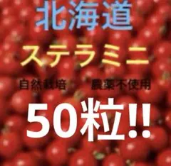 sato様 リクエスト 5点 まとめ商品