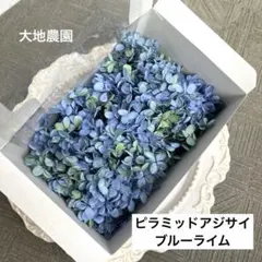 済 メメ様 ご専用