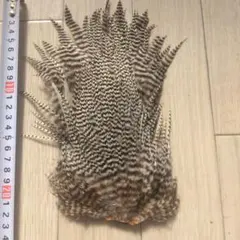 ホフマン ハックル　未使用　グレード3 グリズリー ホフマン ハックル 未使用 グレード3 グリズリー