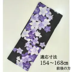 Item thumbnail for item d0aa5e9a-b61e-4d5c-88bf-aba5d3a3302b