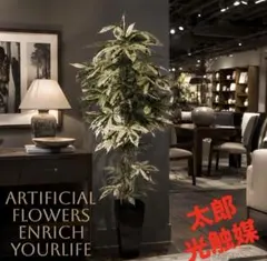 GREENPARK PRIMA シダ レムリアポット 210cmフェイクグリーン - メルカリ
