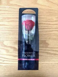 プリザーブドフラワー ガーデニング