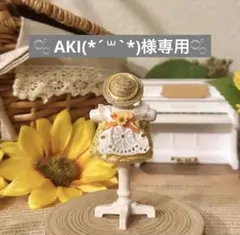 ☁AKI(*´꒳`*)様専用☁