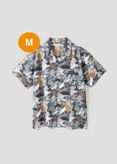 Item thumbnail for item aac717d3-e72a-4a5e-97c4-9444e582f3ed