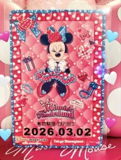 ディズニー❤️ミニーの日　フリーきっぶ　リゾートライン　使用不可　 期限切れ